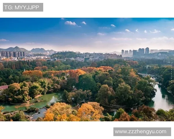 深圳排球队在联合会杯中的强势表现与未来展望分析